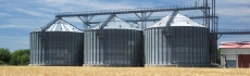 Storage and Processing of grain